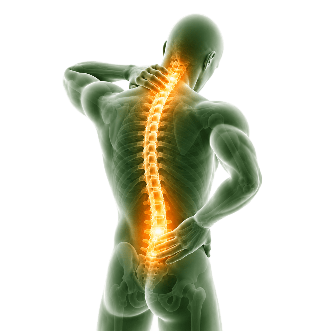 Illustration highlighting the spine, representing spine & posture care