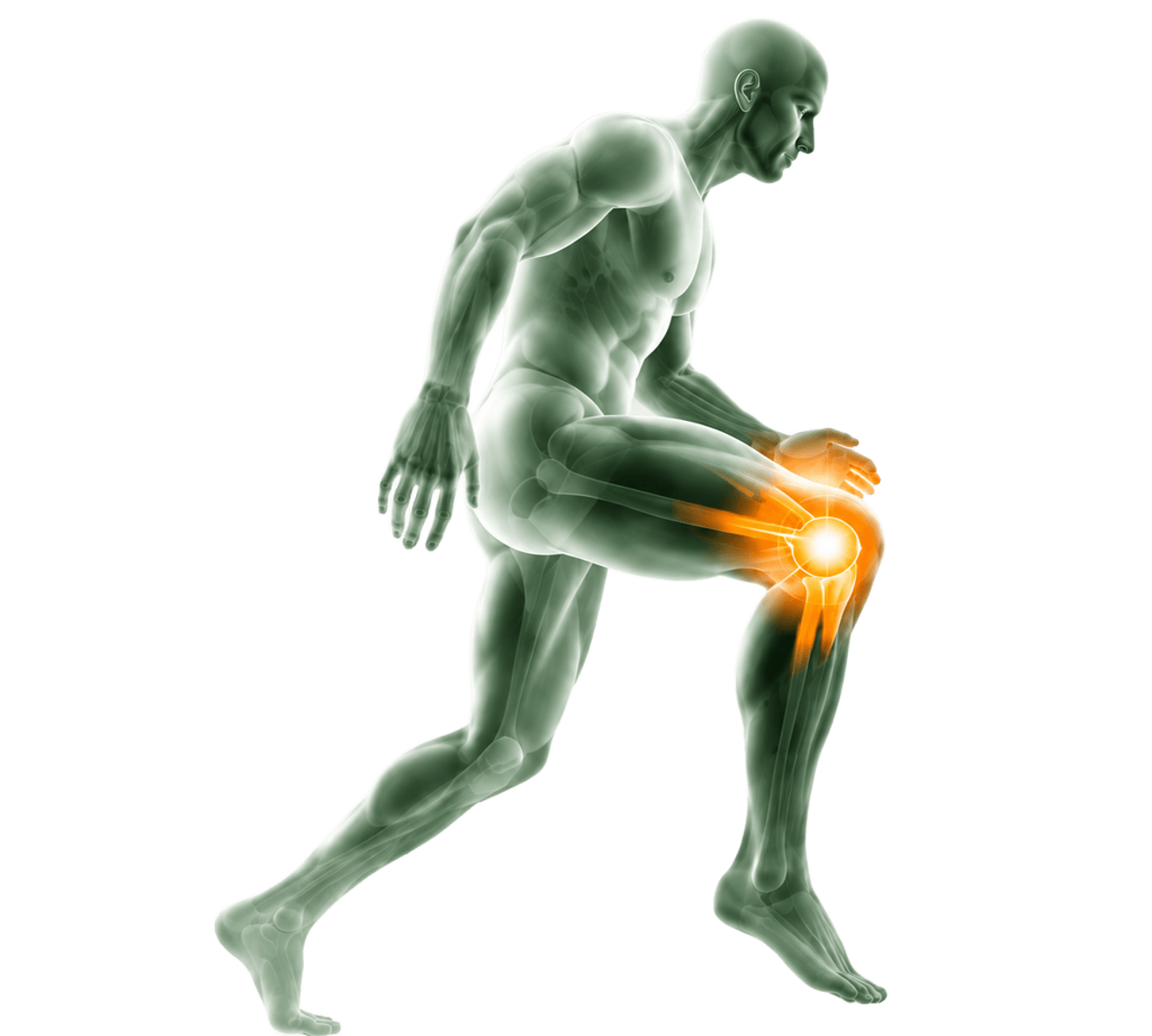 Illustration of a runner highlighting the knee joint, representing sports injury & joint care
