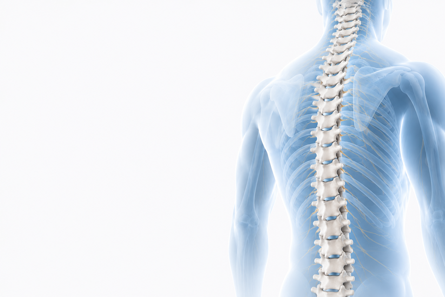 Spine Problems Treatment